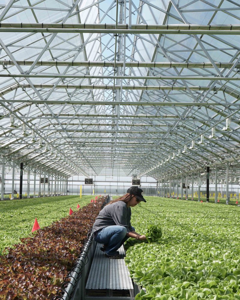 Gotham Greens is Redefining What's Possible in the Food System by