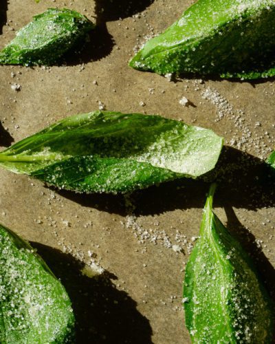 sugared basil