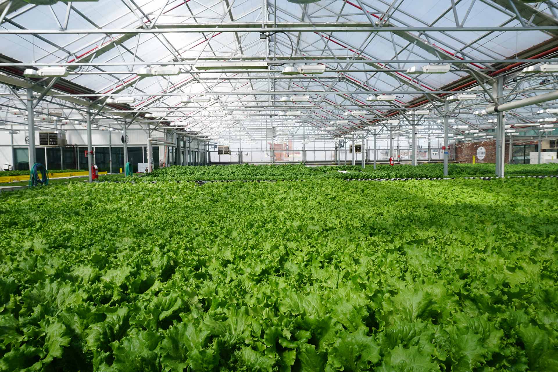 Tour Gotham Greens, an Urban Rooftop Farm in Brooklyn