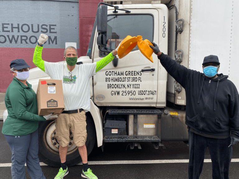 Green Bronx Machine Gotham Greens