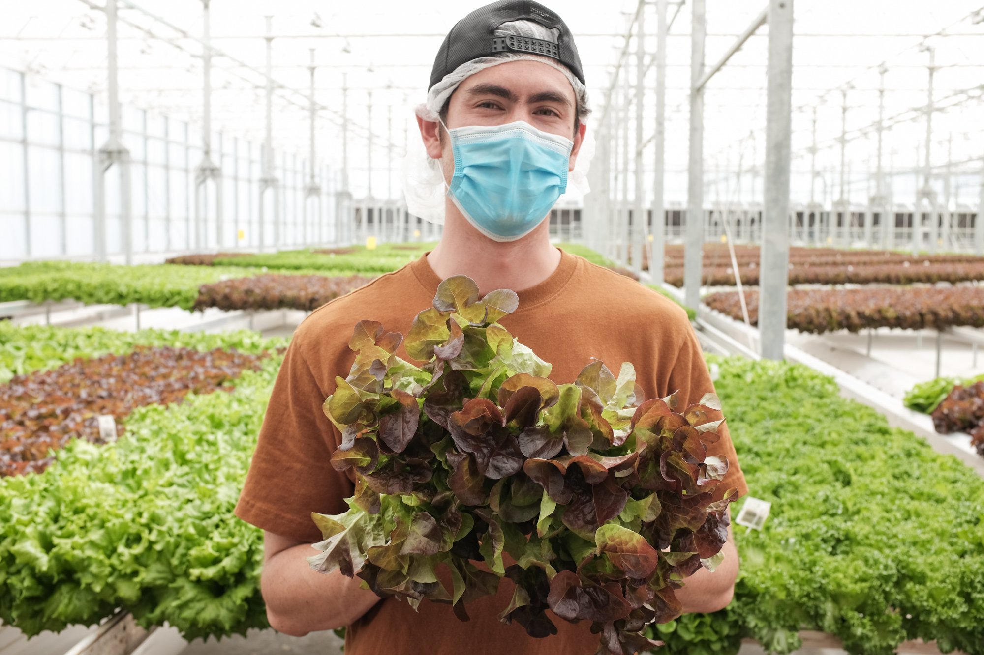 Careers Gotham Greens