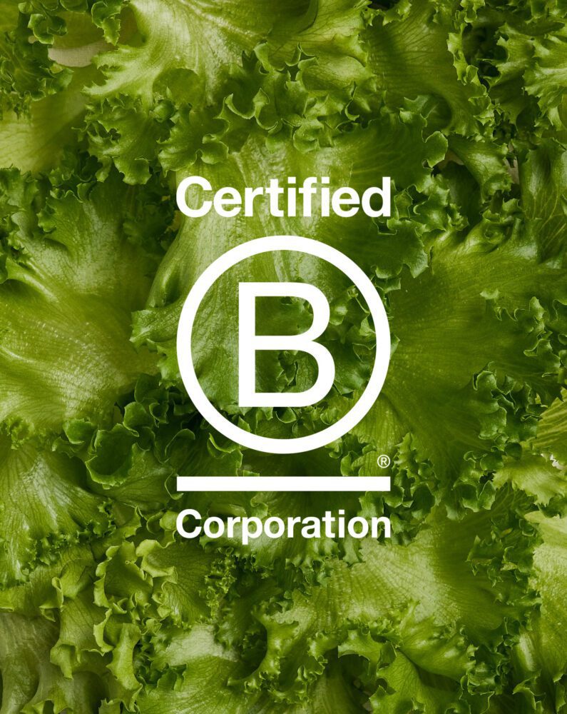 B Corp Logo