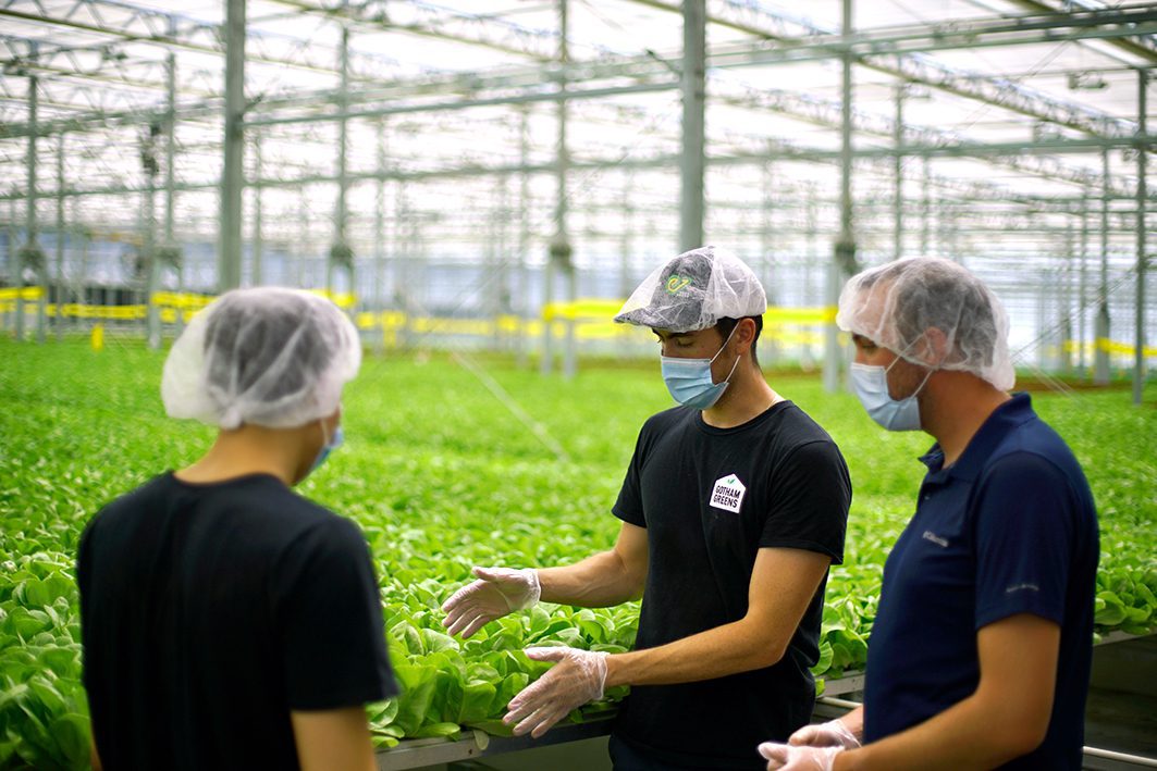 https://www.gothamgreens.com/wp-content/uploads/2022/02/4-210614-BAL-baltimore-greenhouse-024.jpg