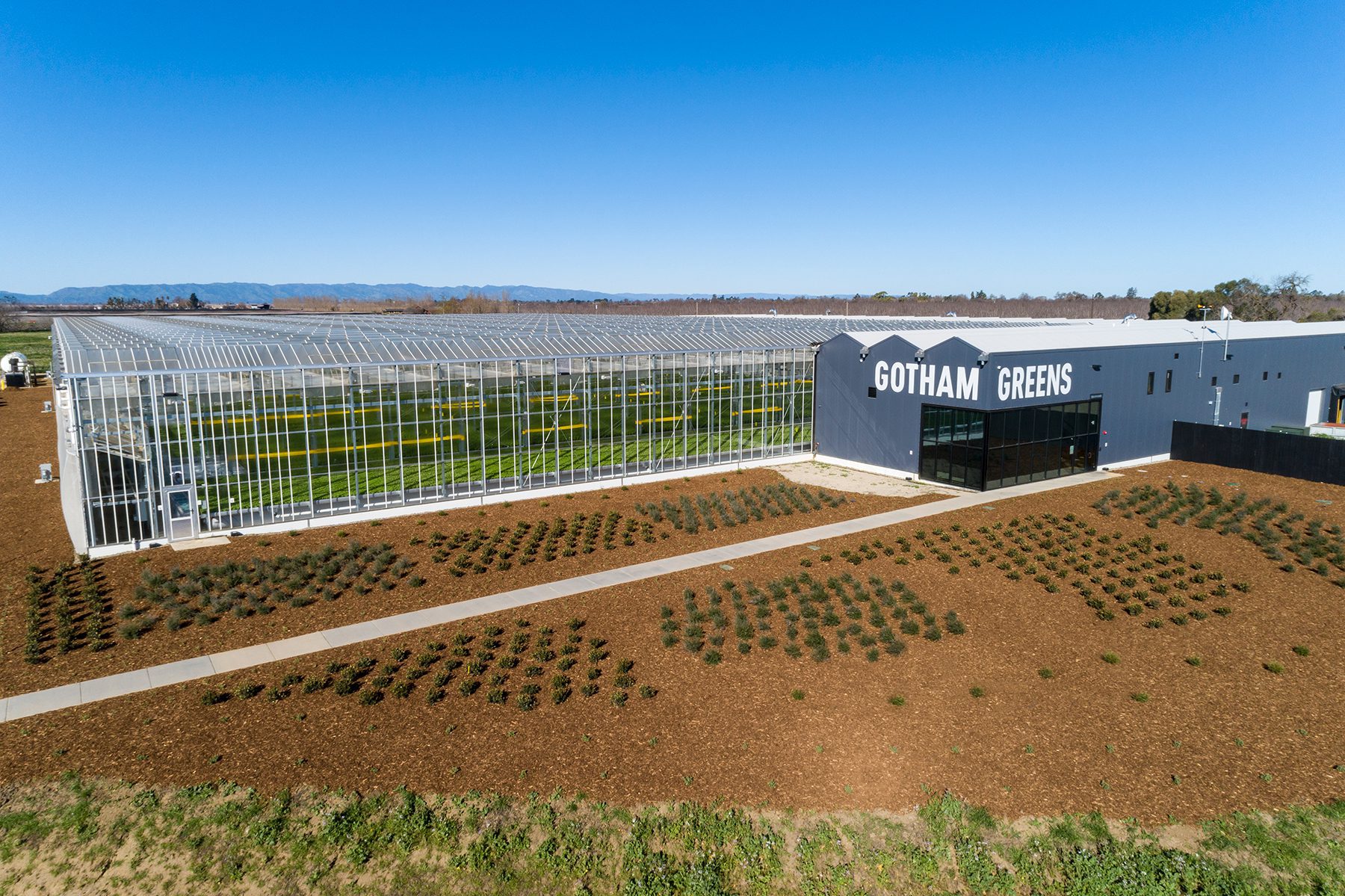 https://www.gothamgreens.com/wp-content/uploads/2022/03/220217-gotham-greens-davis-greenhouse-aerial-drone-photography-acro-murray-0003-1.jpg