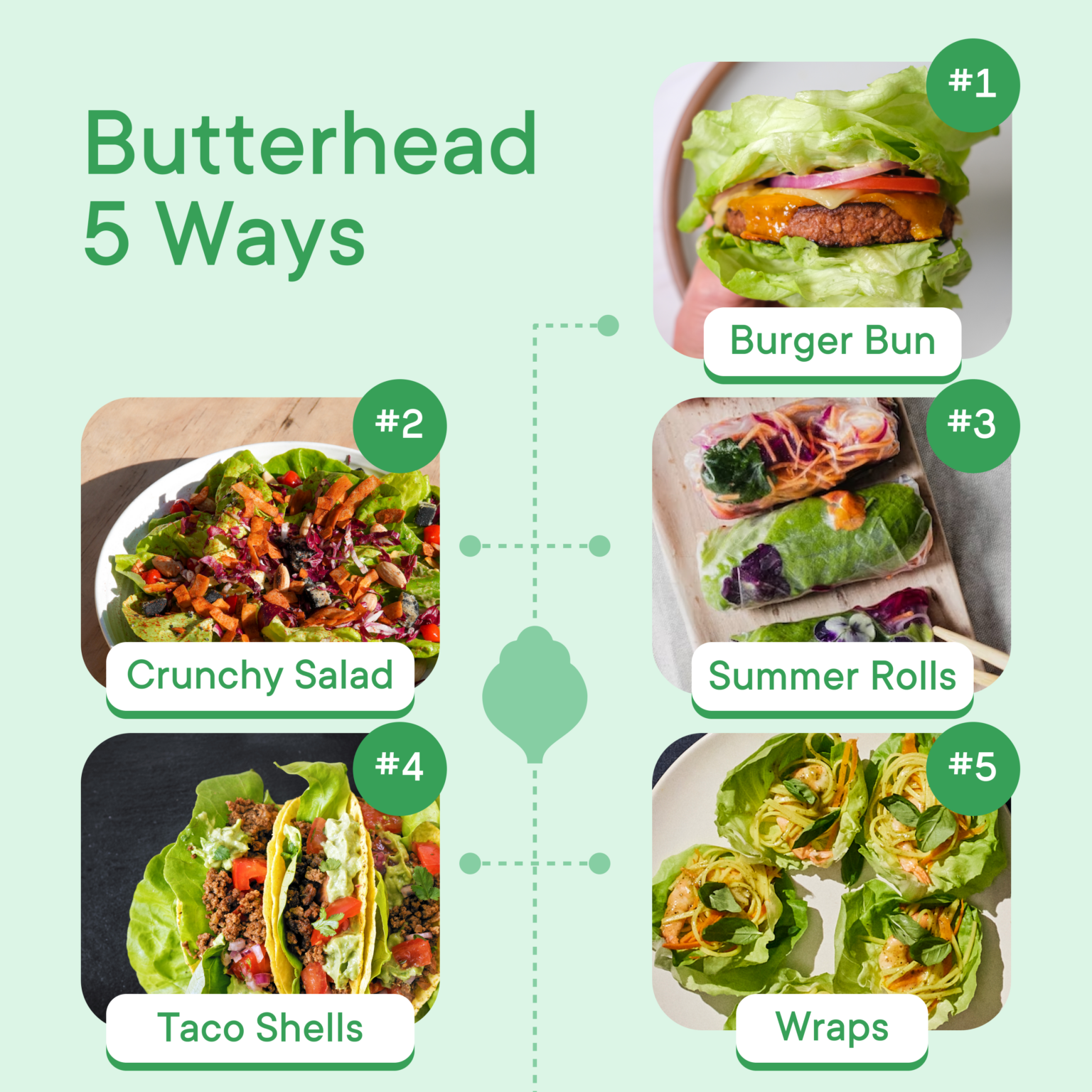 Butterhead 5 Ways Gotham Greens