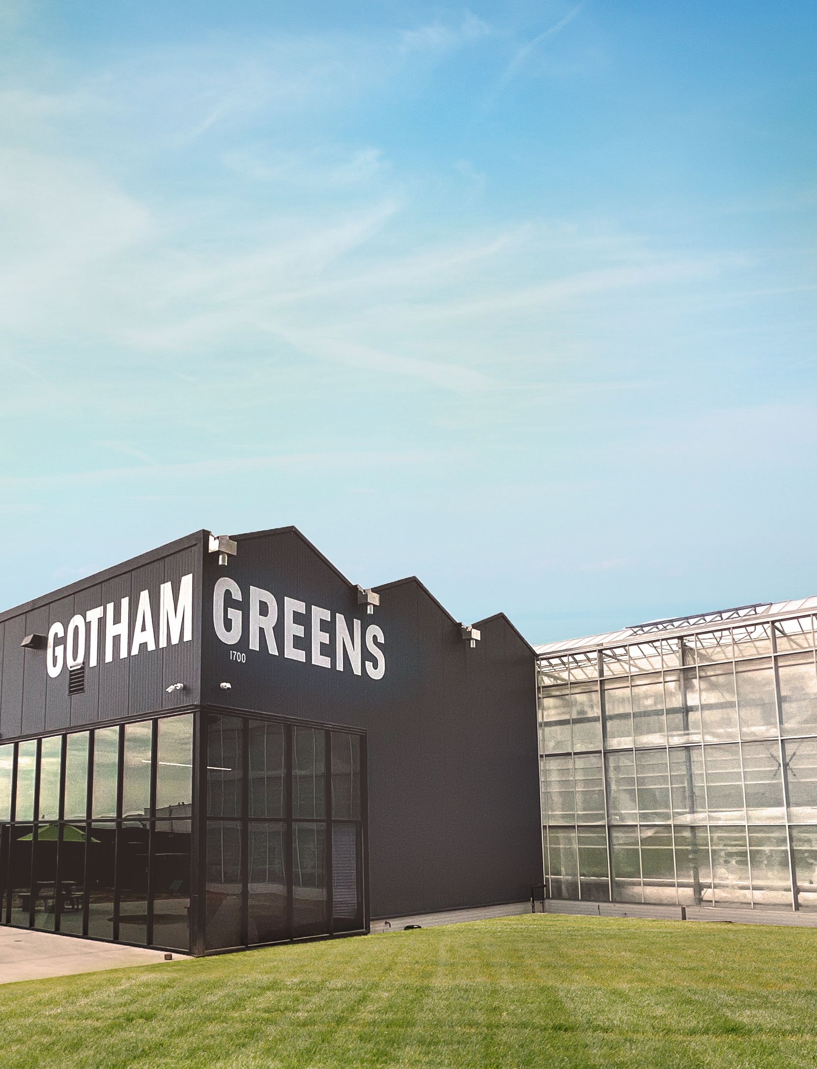 https://www.gothamgreens.com/wp-content/uploads/2023/08/K4MhEKWn-2.jpg