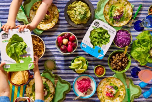 Gotham Greens + Sesame Street collaboration: toddler hands pass a package of lettuce across the table