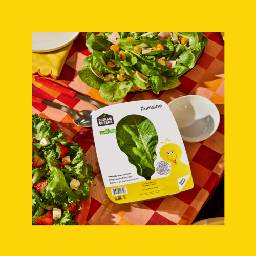 Gotham Greens + Sesame Street collaboration: a photo of Romaine lettuce with Big Bird shown on the packaging