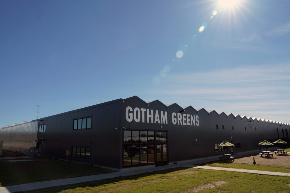 Optional caption here